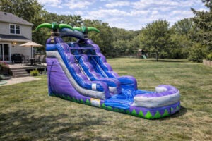 15' purple water slide